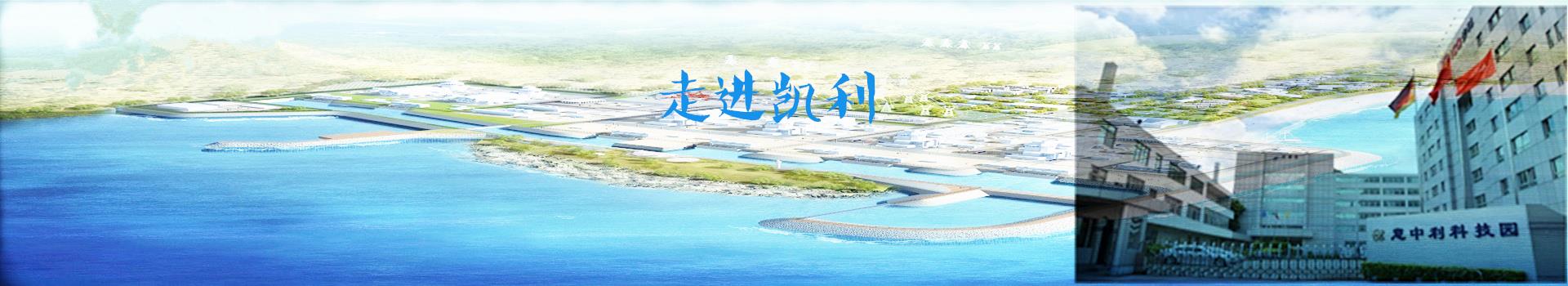 2024新澳门原料免费